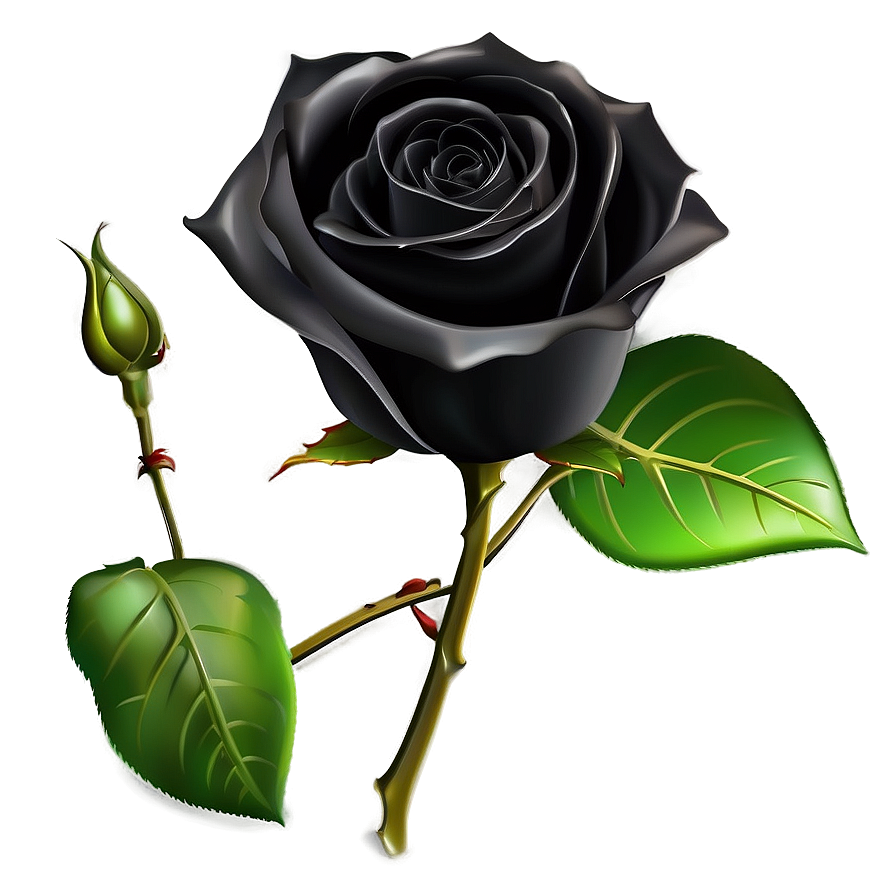 Black Roses Invitation Png Pca10 PNG