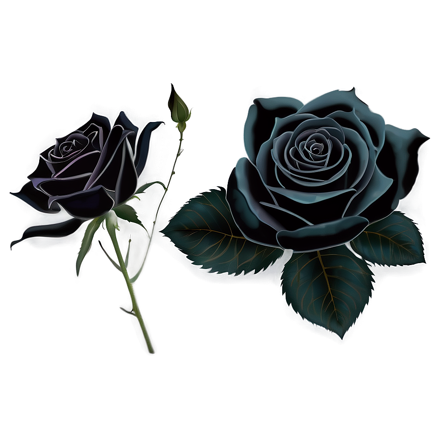 Black Roses Png Bnt PNG