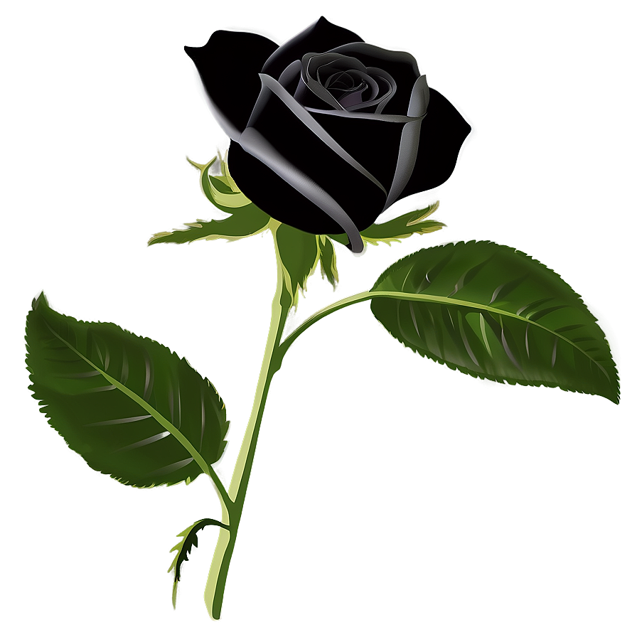Black Roses Silhouette Png 06212024 PNG