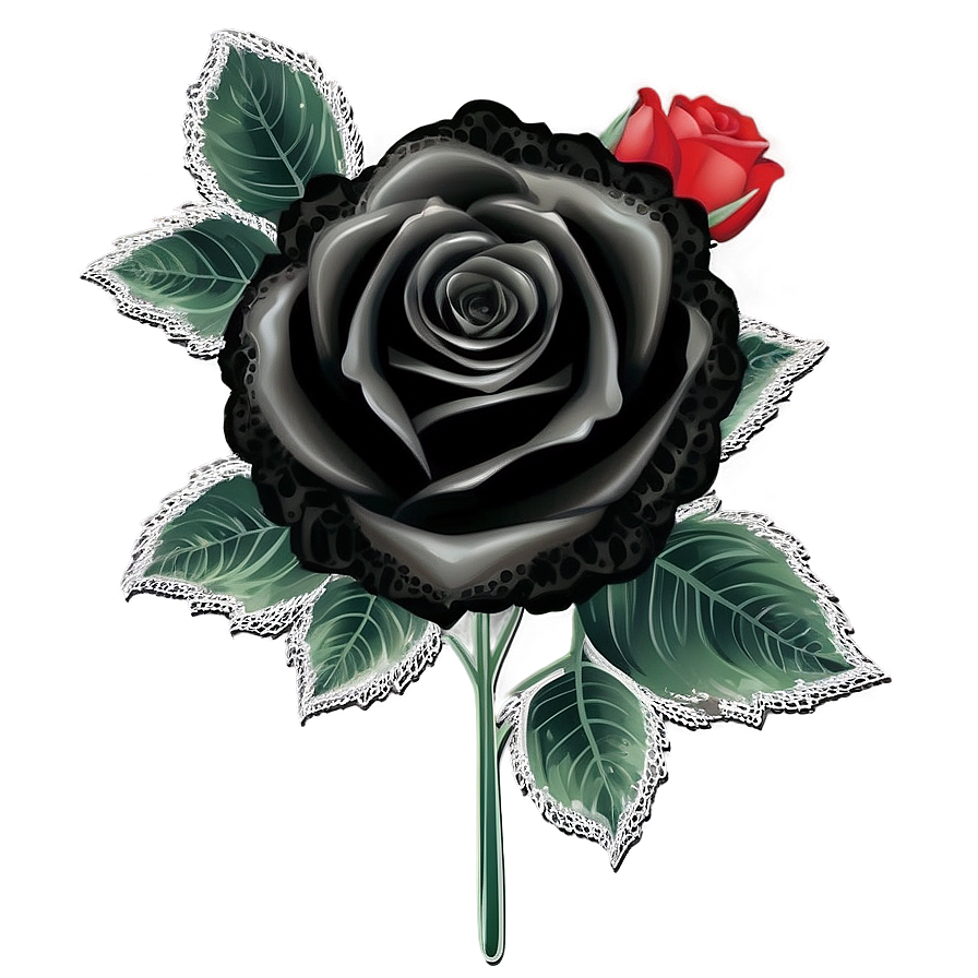Black Roses With Lace Png 06212024 PNG