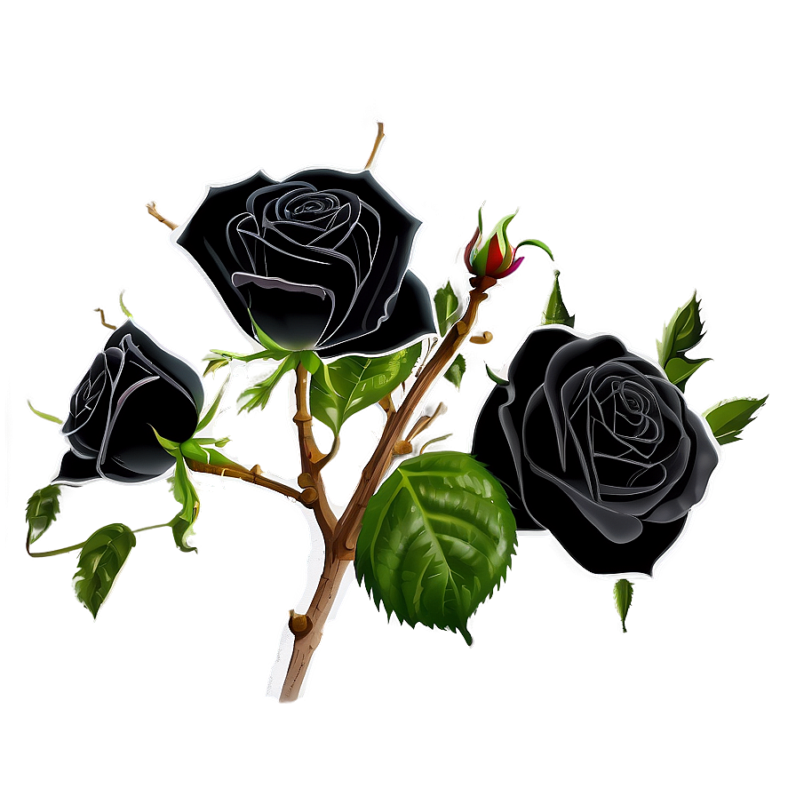 Black Roses With Thorns Png Fgd93 PNG