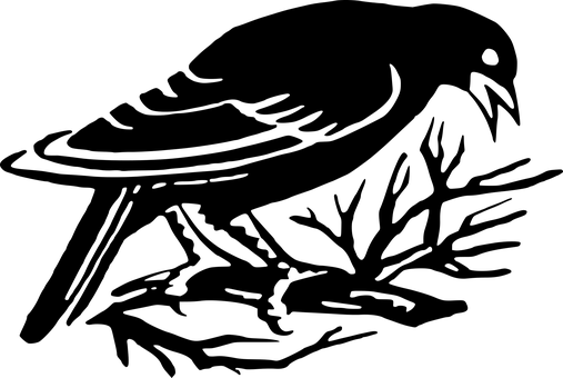 Black Screen Empty Background PNG — Solid black background with no visible elements or textures.