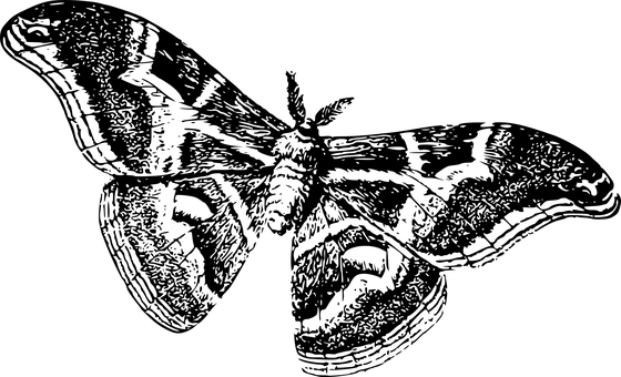Black Screen Empty Background PNG — A solid black background with no visible elements or textures.