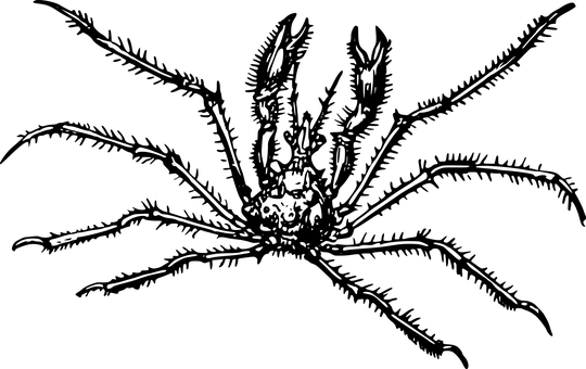 Black Screen Empty Background.jpg PNG