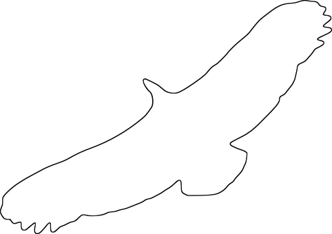 Black Screen Empty Image.jpg PNG