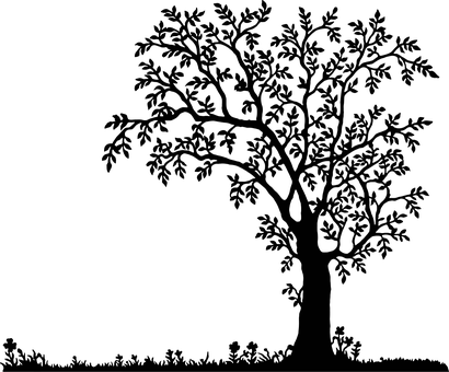 Black Screen No Content PNG