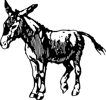 Black Screen No Content PNG