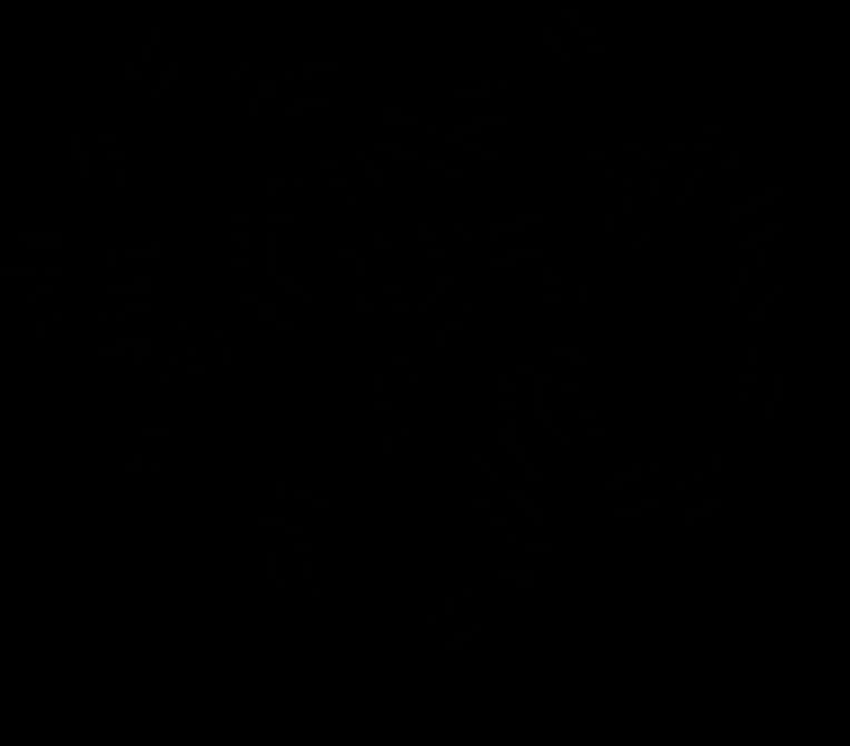 Black Screen Texture PNG