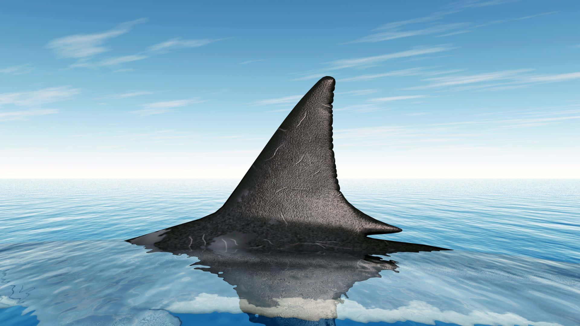 Sort Shark Skarpe Fin Blå Ocean Tapet Wallpaper