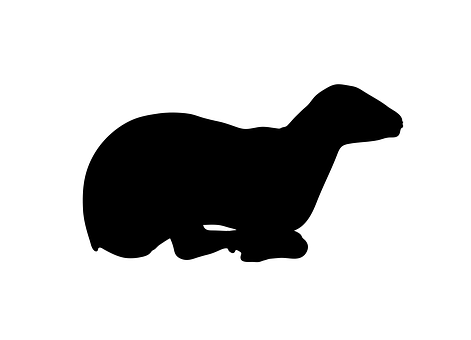 Black Sheep Silhouette PNG