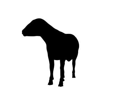 Black Sheep Silhouette PNG