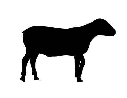 Black Sheep Silhouette PNG