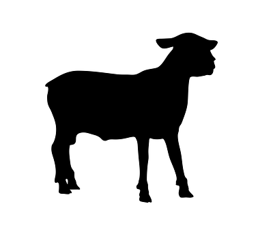 Black Sheep Silhouette PNG