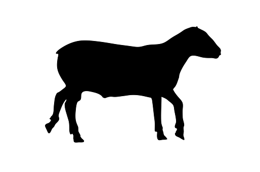 Black Sheep Silhouette PNG