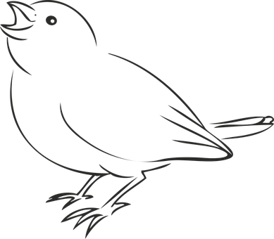 Black Silhouette Bird Illustration PNG