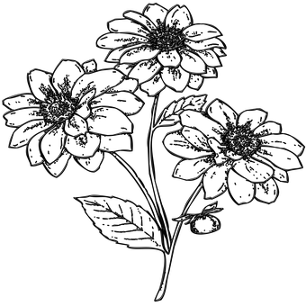 Black Silhouette Flowers PNG
