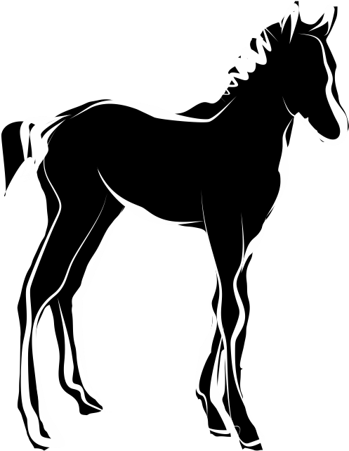 Black Silhouette Foal Illustration PNG