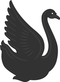 Black Silhouette Swan PNG
