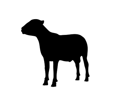 Black Silhouetteof Standing Sheep PNG
