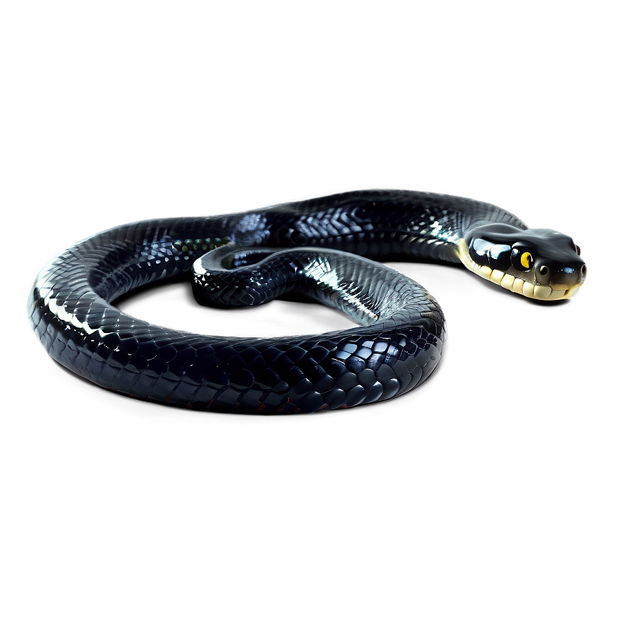 Black Snake Hissing Png Qdk56 PNG