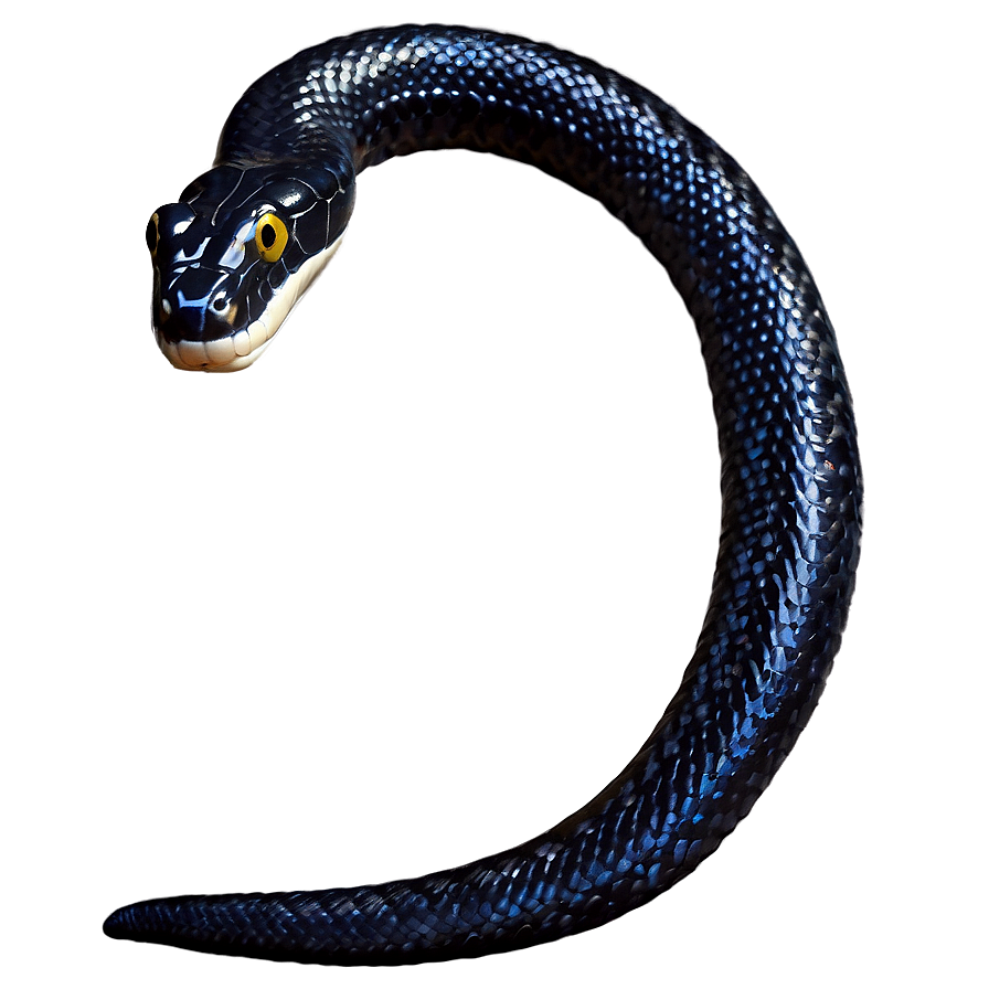 Black Snake In Attack Position Png Dut PNG