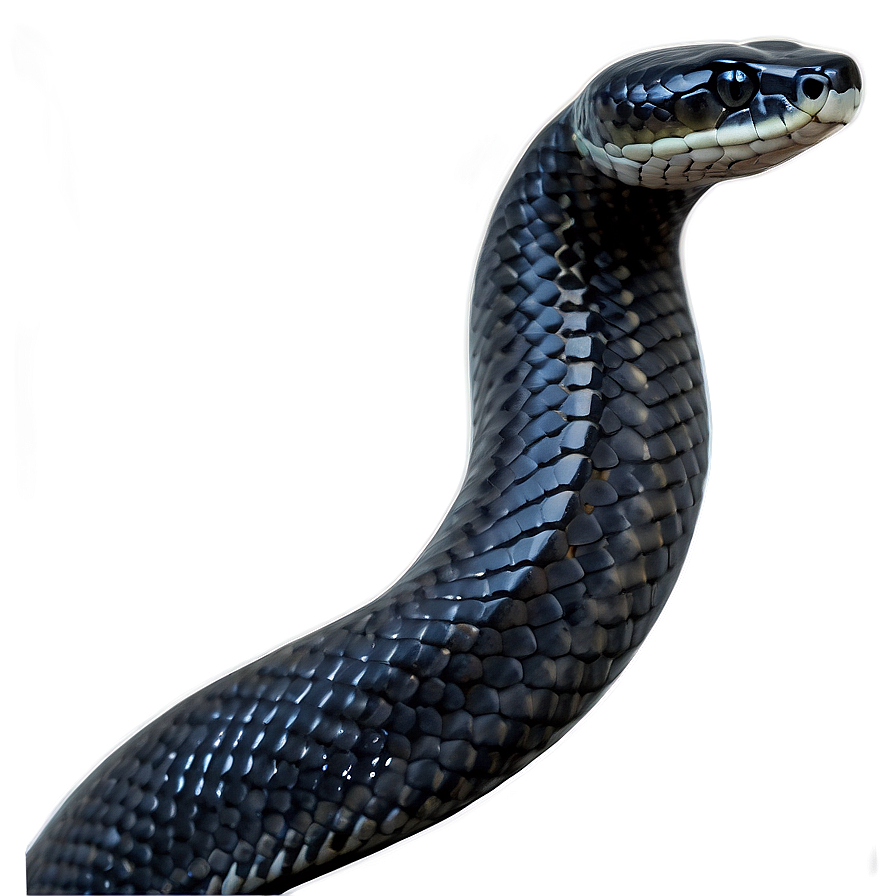 Black Snake In Moonlight Png 06132024 PNG