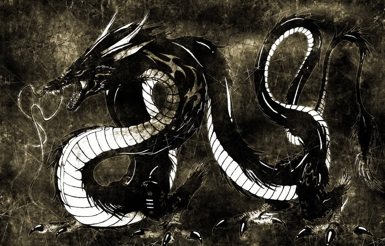 Black Snake Water Dragon Wallpaper