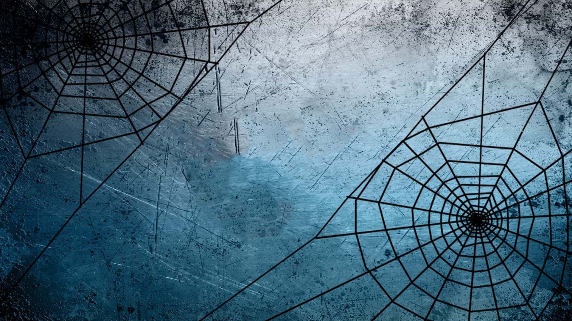 Black Spider Web Background Blue Aesthetic