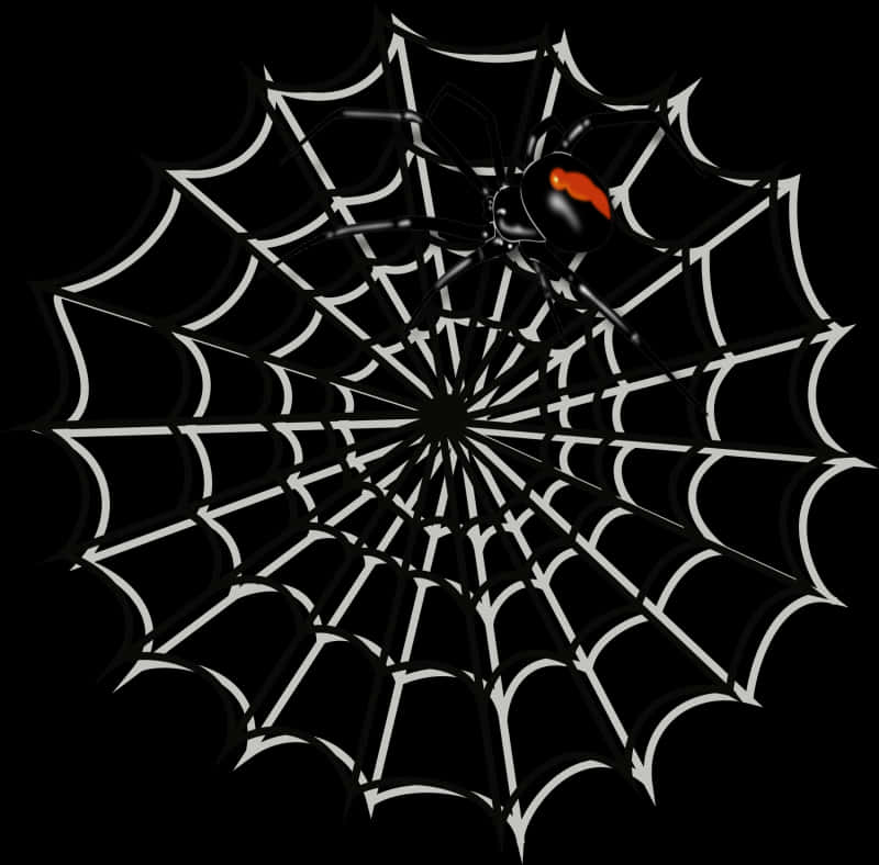 Black Spideron Web PNG