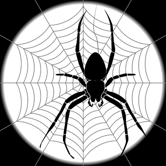 Black Spideron Web Graphic PNG