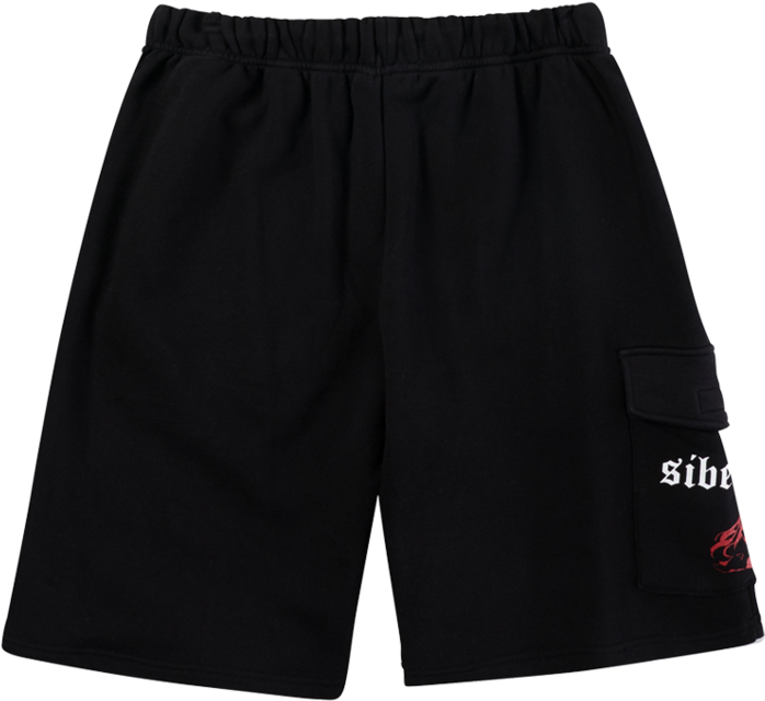 Black Sports Shortswith Logo PNG