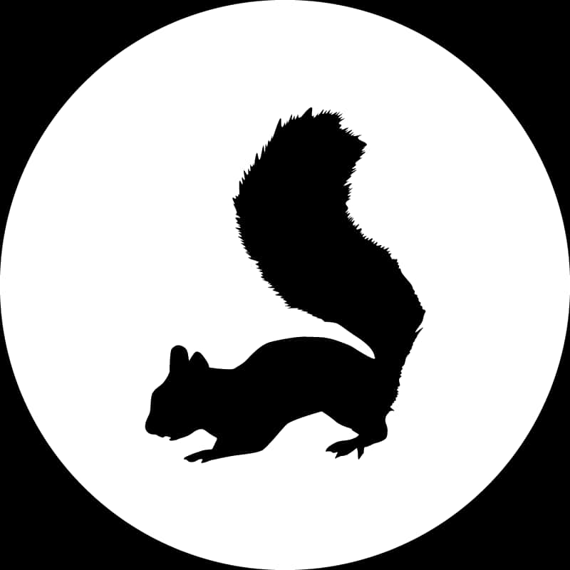 Black Squirrel Silhouette Circle Background PNG