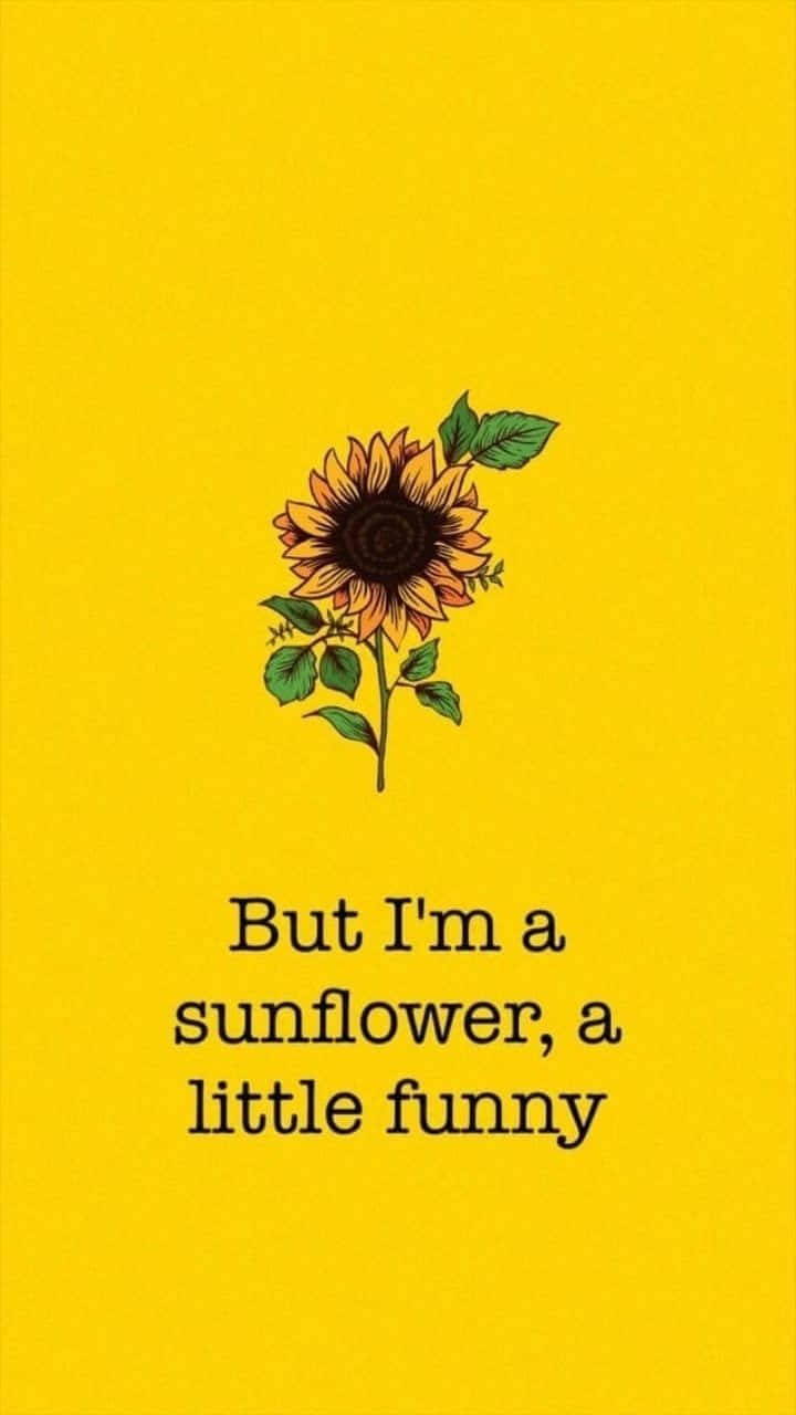 Captivating Black Sunflower in Graphic Design Wallpaper