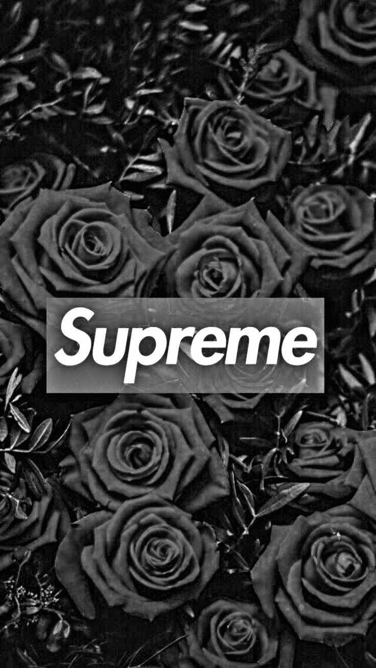 Black Supreme Greyscale Roses Wallpaper