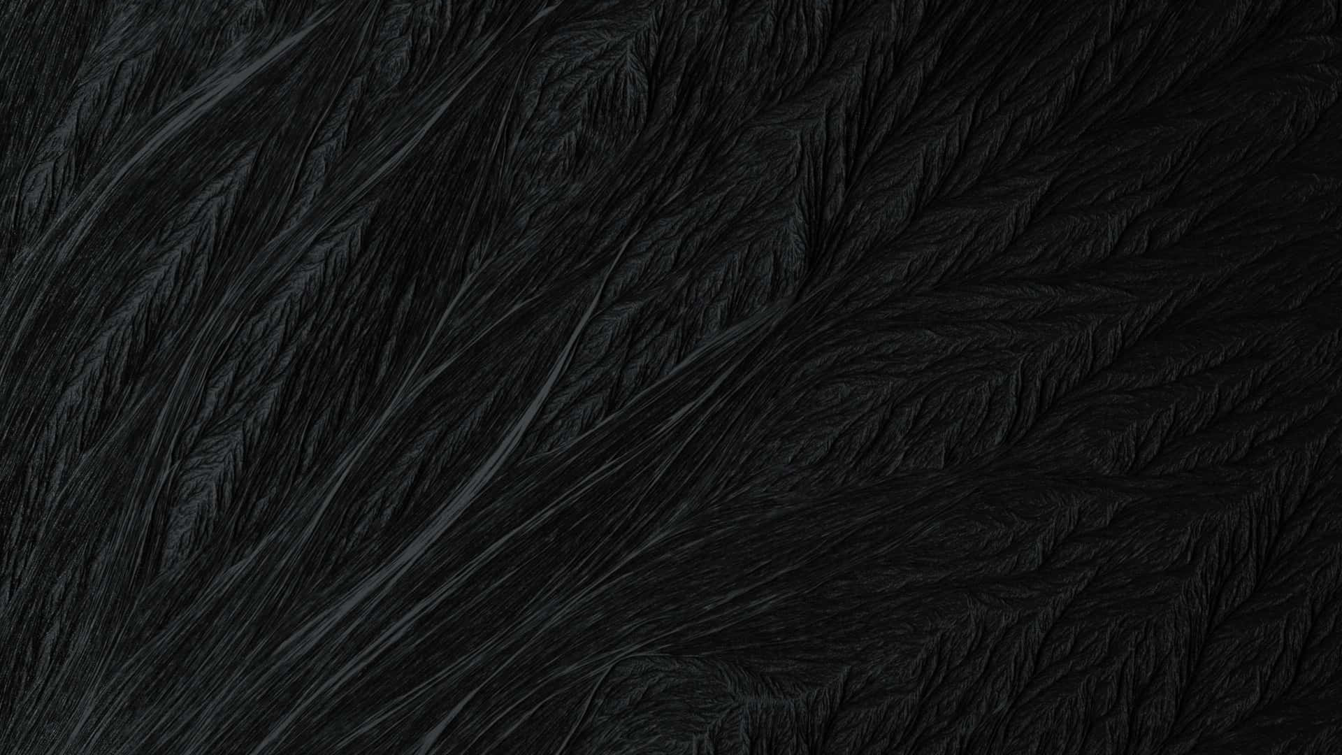 Caption: Mesmerizing Depth of a Black Texture Background