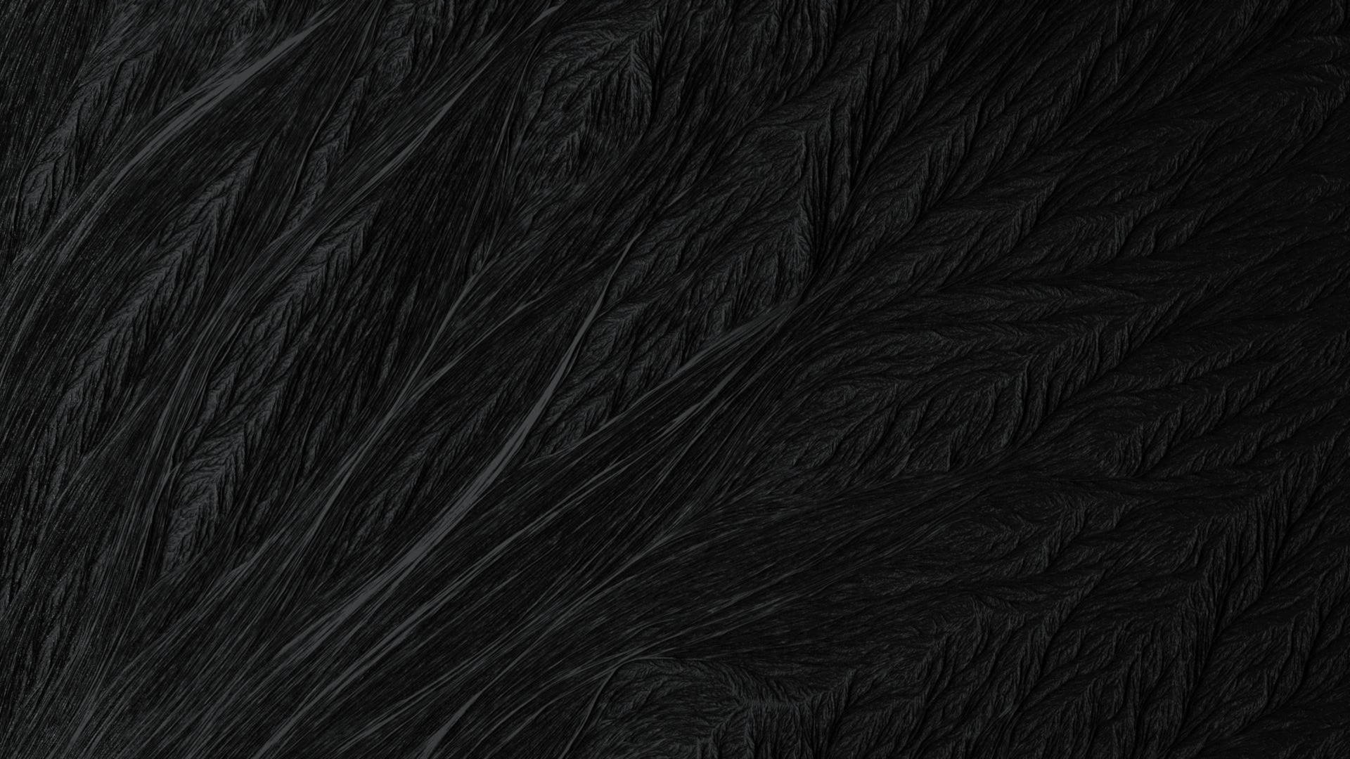 Black Texture Dark Fur Wallpaper