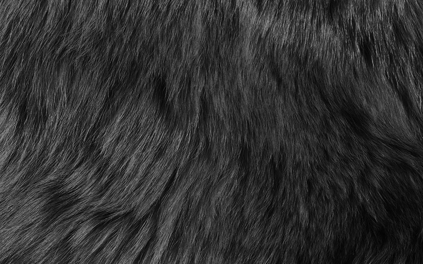 Black Textured Hair Closeup Wallpaper