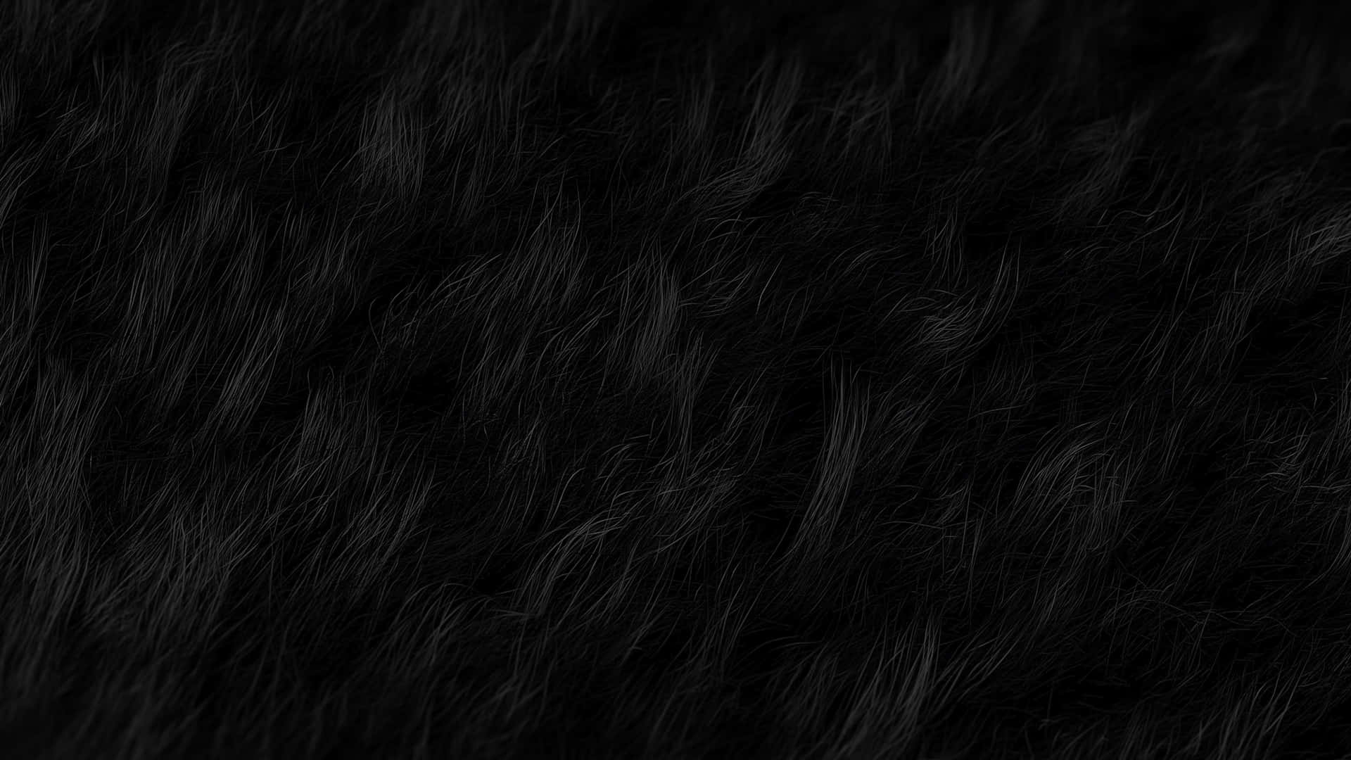 Black_ Textured_ Hair_ Closeup.jpg Wallpaper