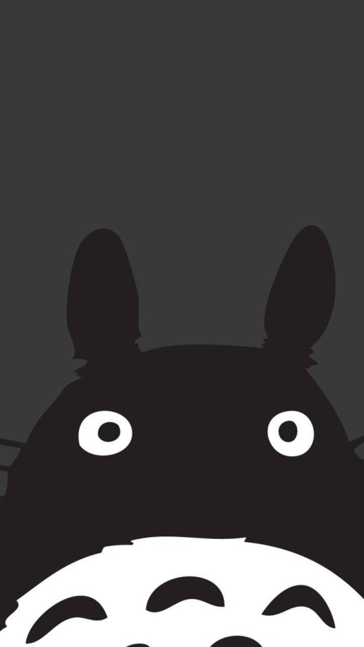 Black Totoro Macro Background