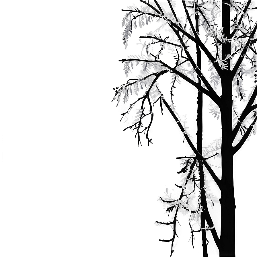 Black Tree Branches Png Bdo33 PNG