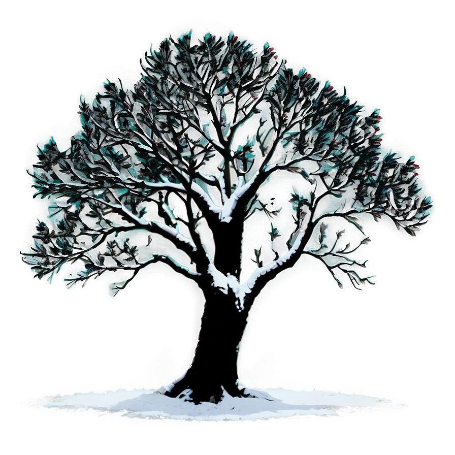 Black Tree Silhouette Png Clo81 PNG