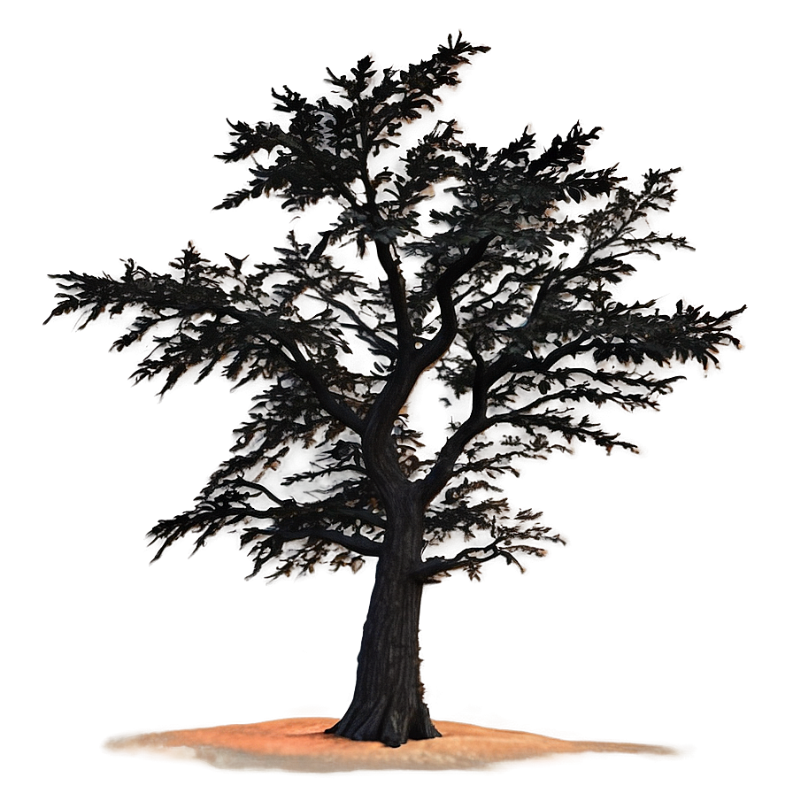 Black Tree With Sunset Background Png 06212024 PNG