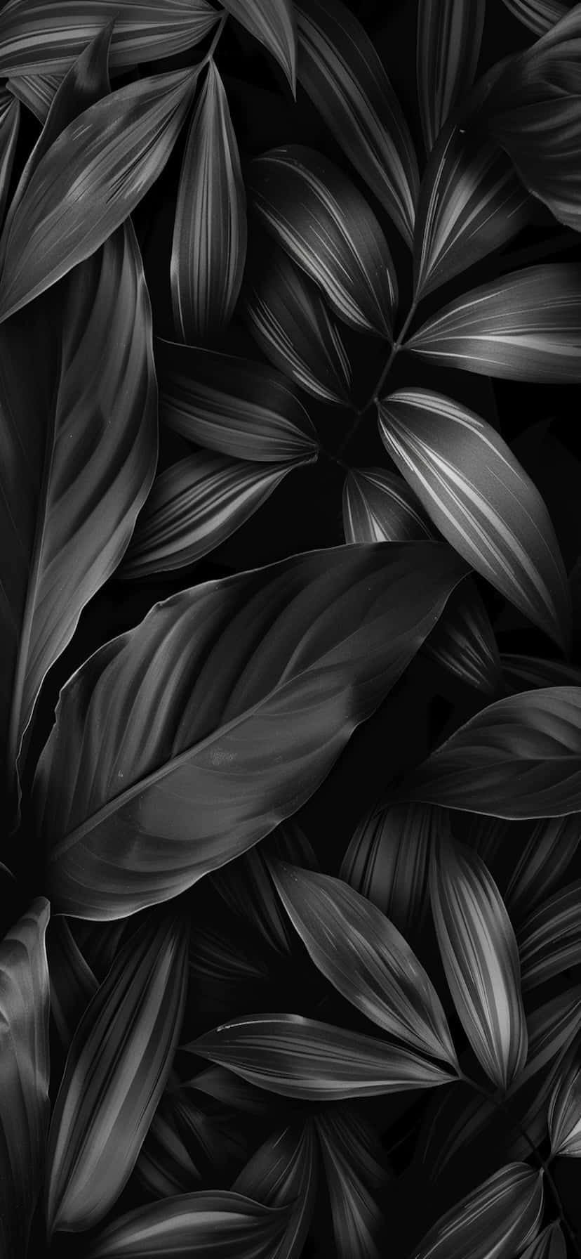 Black_ Tropical_ Leaves_ Pattern Wallpaper