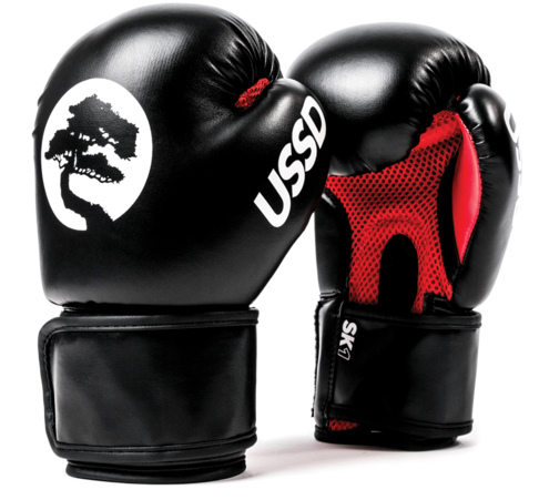 Black U S S D Boxing Gloves PNG