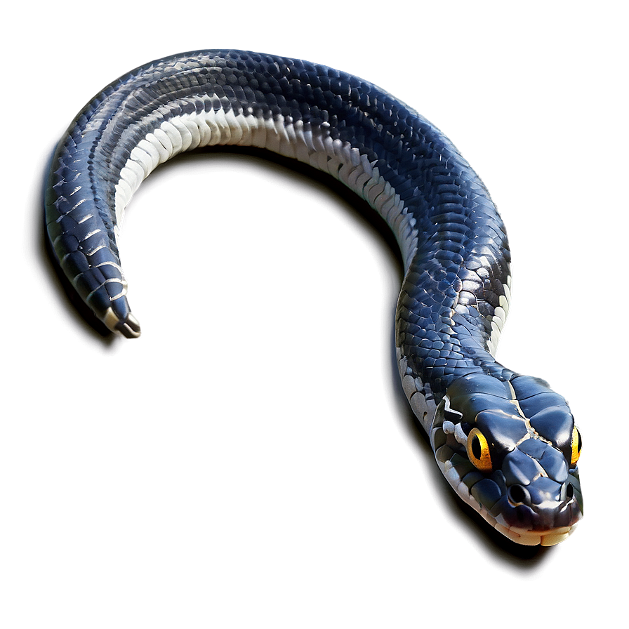 Black Viper Snake Illustration Png Cln98 PNG