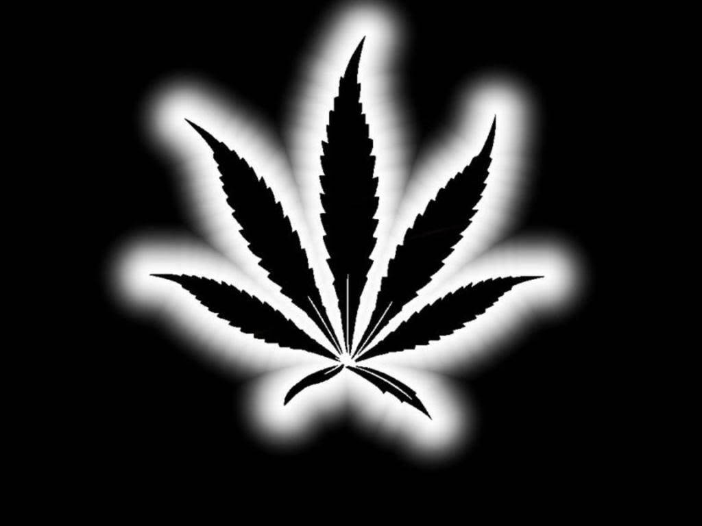 Black Weed Leaf With White Glow Wallpaper