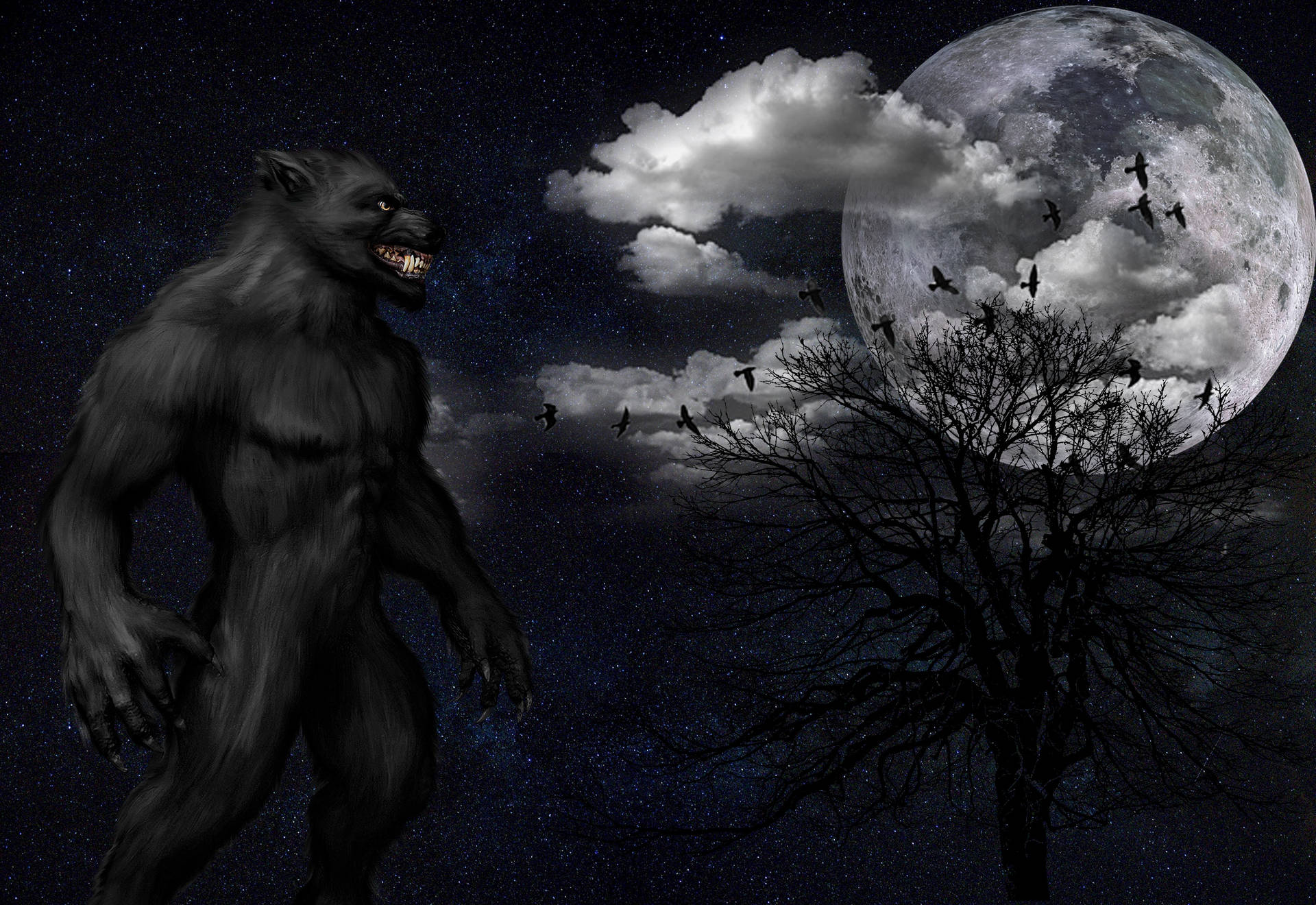 A werewolf howls at the full moon Wallpaper