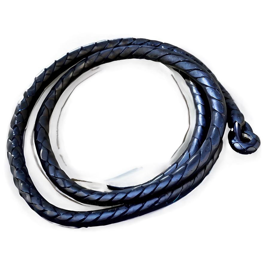 Download Black Whip Illustration Png 38 | Wallpapers.com