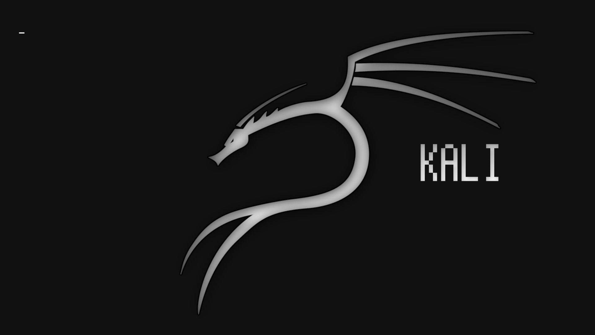 Sort og hvid Kali Linux Wallpaper