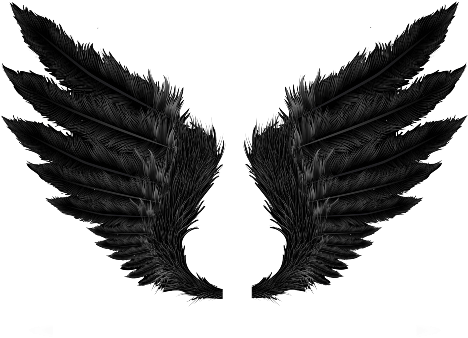 Black Wing Feathers Tattoo Design PNG